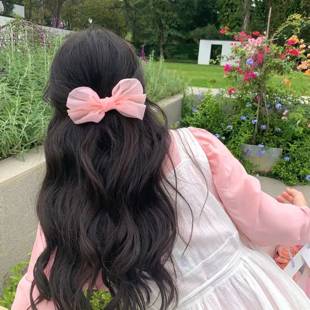 傻了吧我有一屋子美女房客