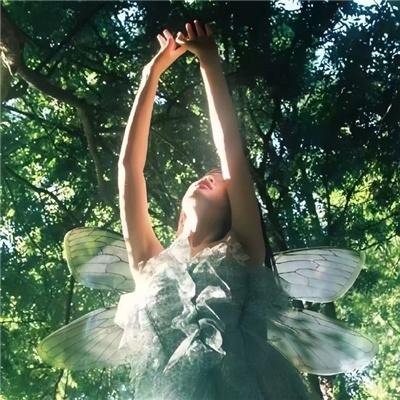 中秋团圆之孪生殊途